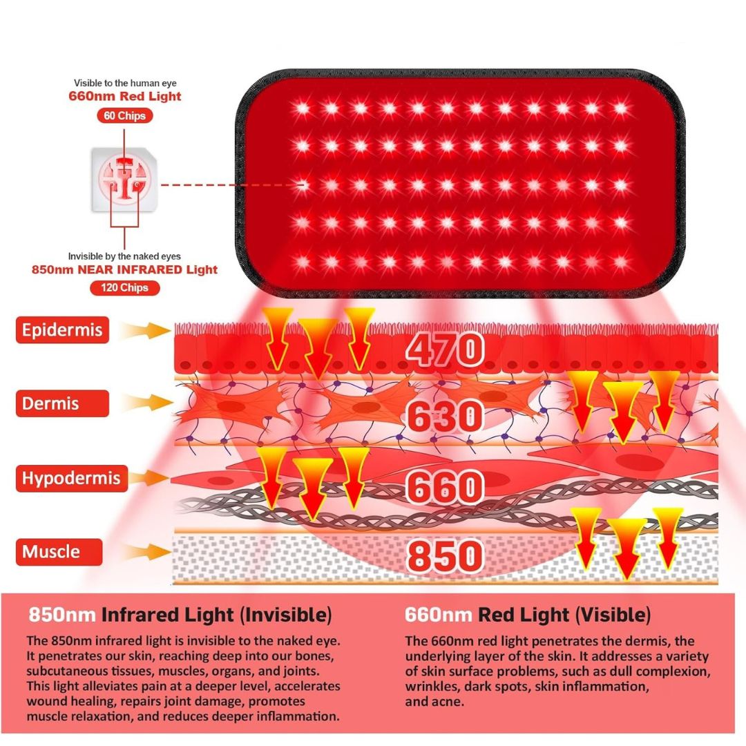 RedCore™ Therapy Belt